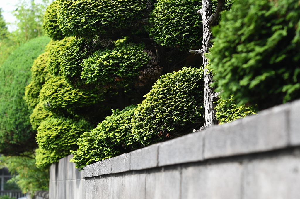 AdobeStock_509291591