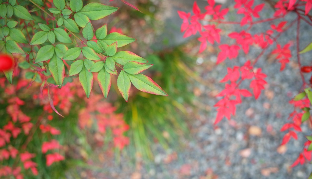 AdobeStock_535679107